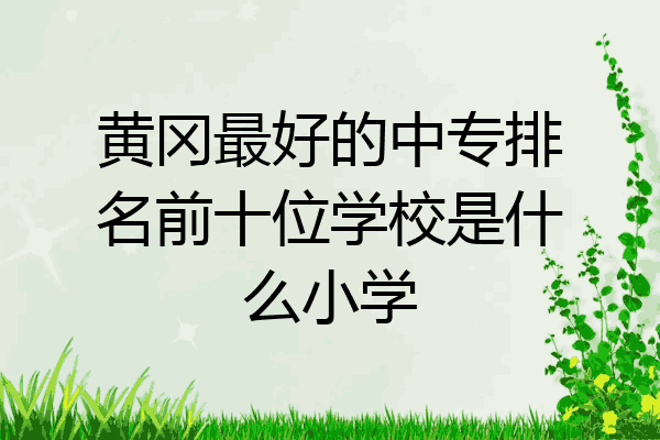 黄冈最好的中专排名前十位学校是什么小学