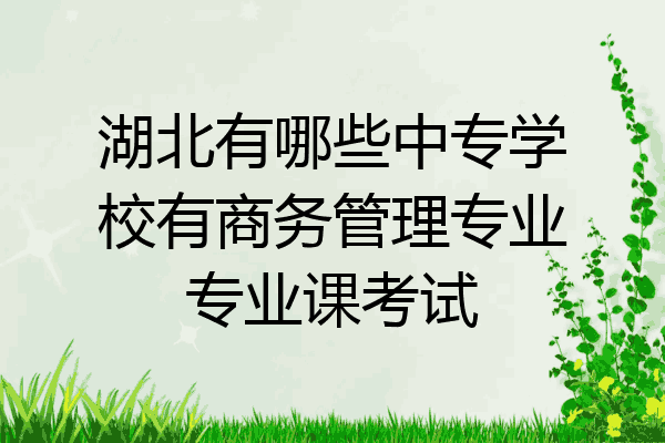 湖北有哪些中专学校有商务管理专业专业课考试