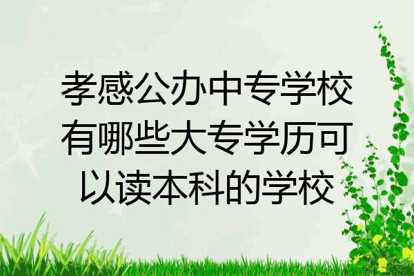 孝感公办中专学校有哪些大专学历可以读本科的学校