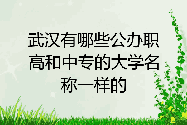 武汉有哪些公办职高和中专的大学名称一样的