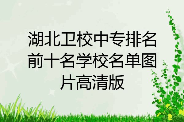 湖北卫校中专排名前十名学校名单图片高清版