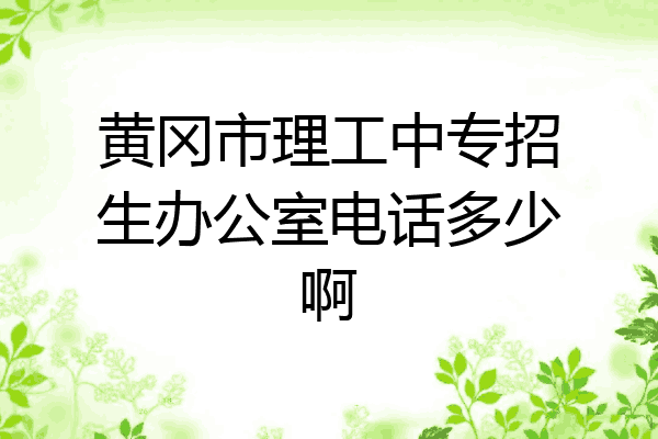黄冈市理工中专招生办公室电话多少啊
