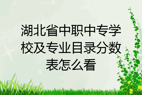 湖北省中职中专学校及专业目录分数表怎么看