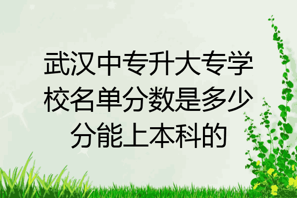 武汉中专升大专学校名单分数是多少分能上本科的
