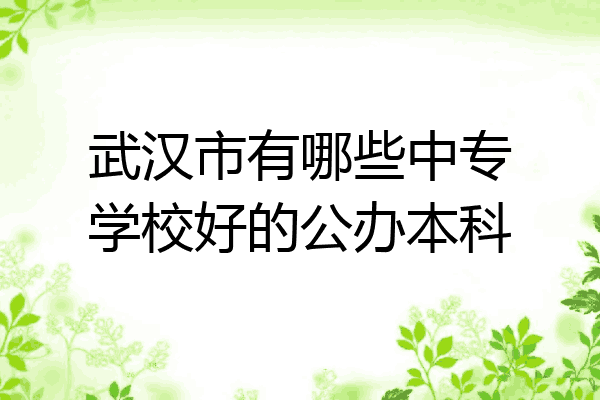 武汉市有哪些中专学校好的公办本科