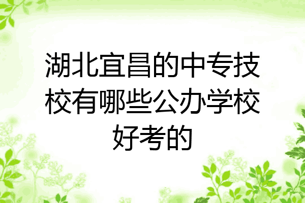 湖北宜昌的中专技校有哪些公办学校好考的