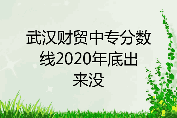 武汉财贸中专分数线2020年底出来没