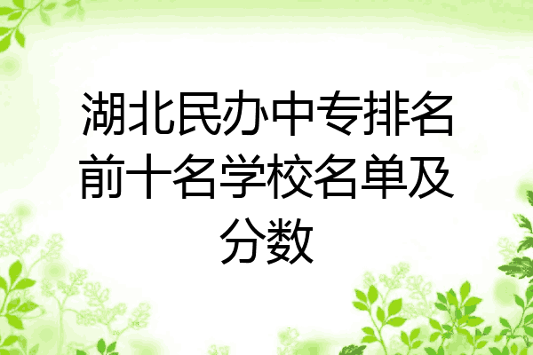 湖北民办中专排名前十名学校名单及分数