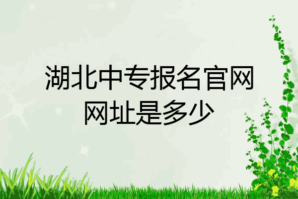 湖北中专报名官网网址是多少