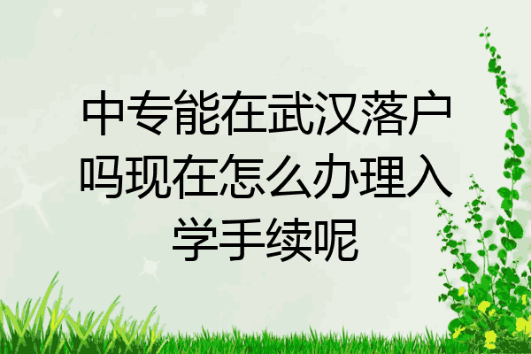 中专能在武汉落户吗现在怎么办理入学手续呢