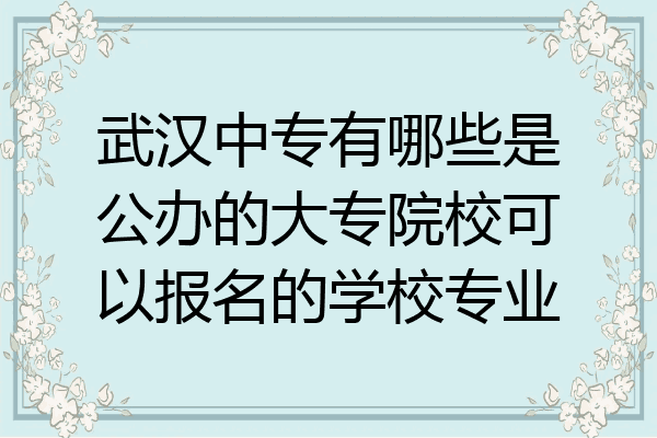 武汉中专有哪些是公办的大专院校可以报名的学校专业