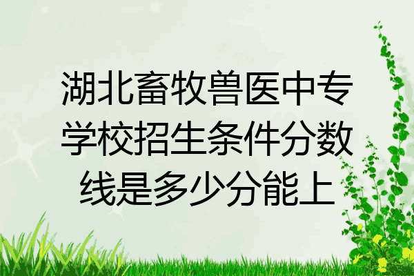 湖北畜牧兽医中专学校招生条件分数线是多少分能上