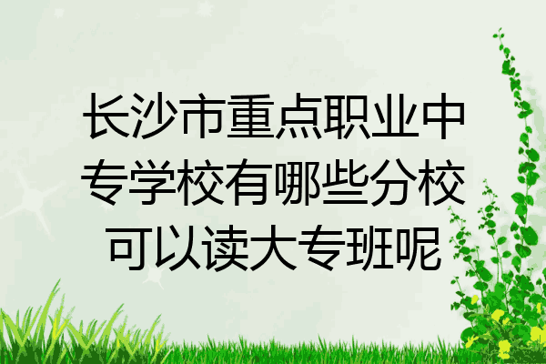 长沙市重点职业中专学校有哪些分校可以读大专班呢