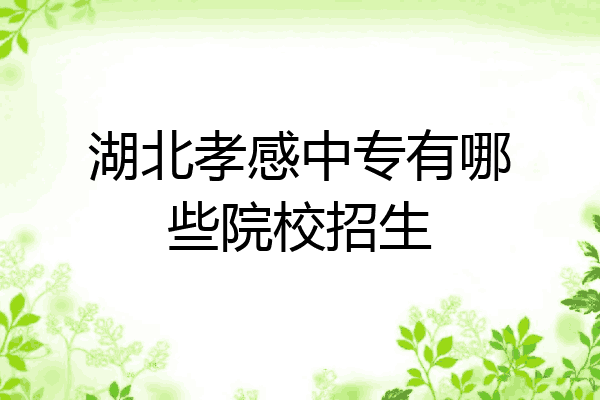 湖北孝感中专有哪些院校招生