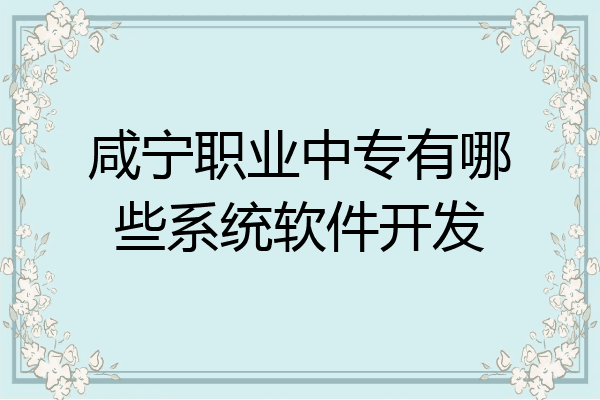 咸宁职业中专有哪些系统软件开发