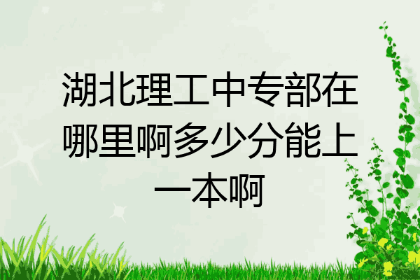 湖北理工中专部在哪里啊多少分能上一本啊