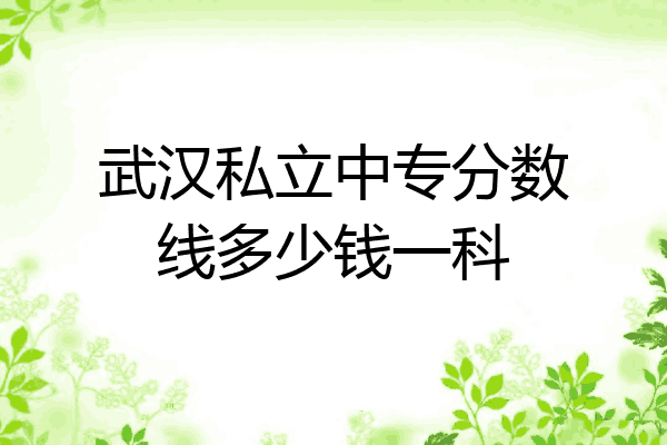武汉私立中专分数线多少钱一科