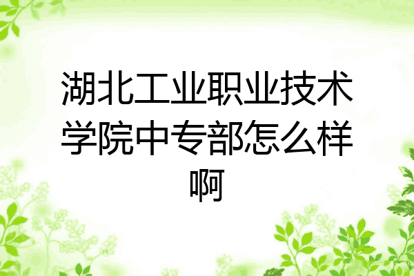 湖北工业职业技术学院中专部怎么样啊