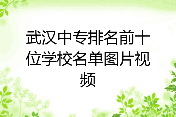 武汉中专排名前十位学校名单图片视频