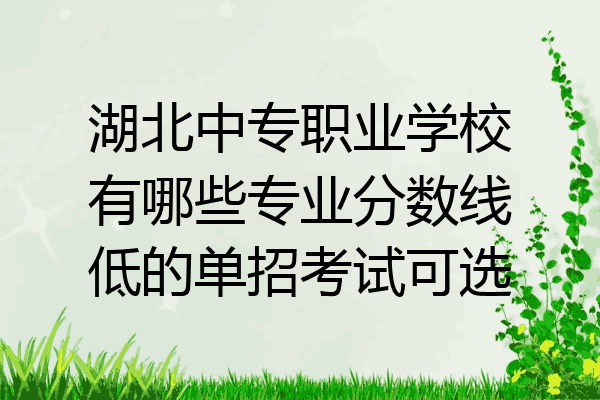 湖北中专职业学校有哪些专业分数线低的单招考试可选
