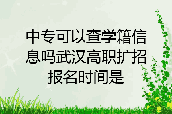 中专可以查学籍信息吗武汉高职扩招报名时间是