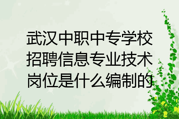 武汉中职中专学校招聘信息专业技术岗位是什么编制的