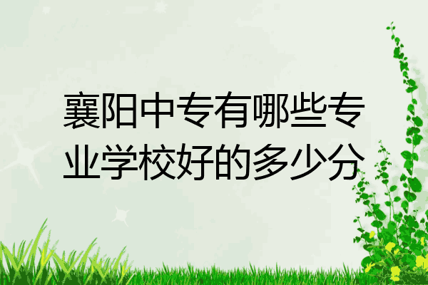 襄阳中专有哪些专业学校好的多少分