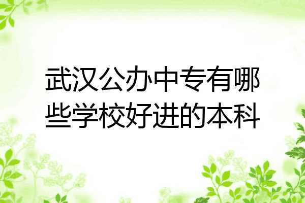 武汉公办中专有哪些学校好进的本科