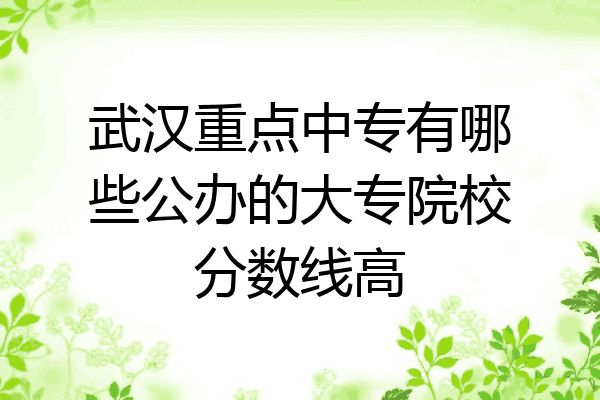 武汉重点中专有哪些公办的大专院校分数线高