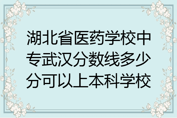 湖北省医药学校中专武汉分数线多少分可以上本科学校
