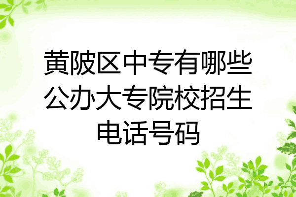 黄陂区中专有哪些公办大专院校招生电话号码