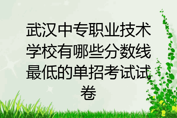 武汉中专职业技术学校有哪些分数线最低的单招考试试卷