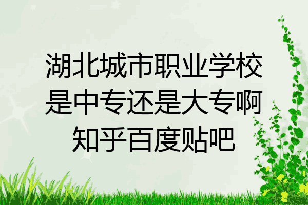 湖北城市职业学校是中专还是大专啊知乎百度贴吧