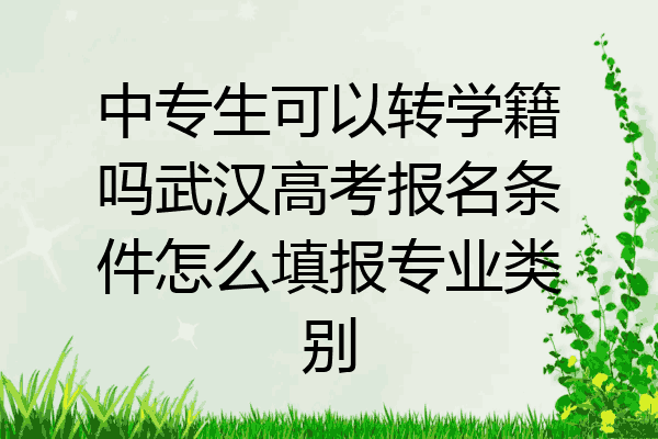 中专生可以转学籍吗武汉高考报名条件怎么填报专业类别