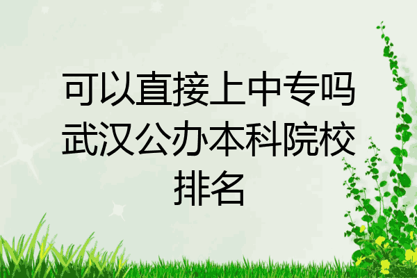 可以直接上中专吗武汉公办本科院校排名
