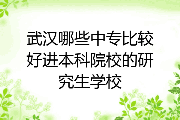 武汉哪些中专比较好进本科院校的研究生学校