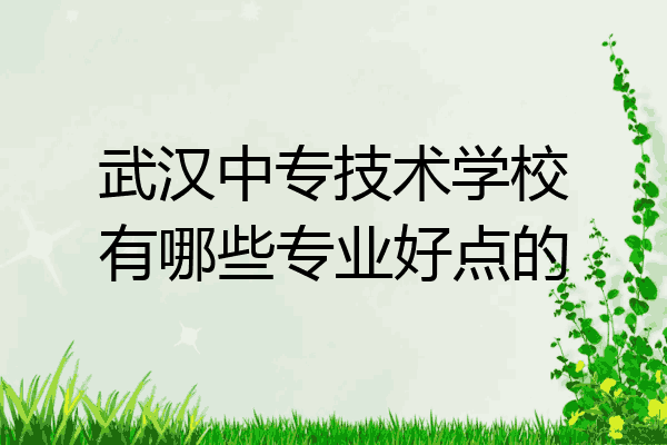 武汉中专技术学校有哪些专业好点的