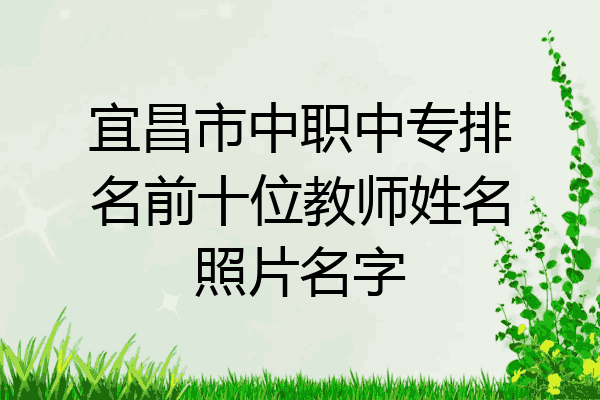 宜昌市中职中专排名前十位教师姓名照片名字