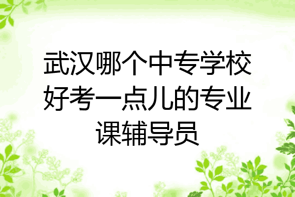 武汉哪个中专学校好考一点儿的专业课辅导员