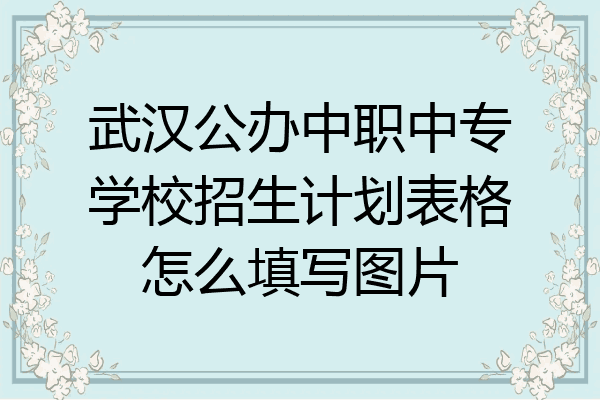 武汉公办中职中专学校招生计划表格怎么填写图片