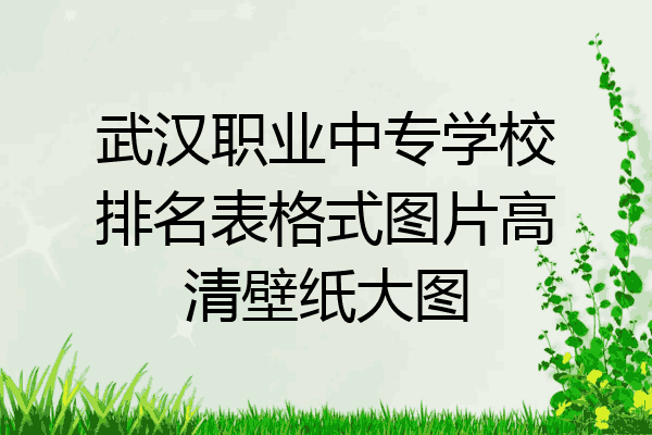 武汉职业中专学校排名表格式图片高清壁纸大图