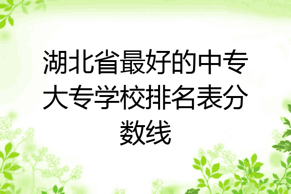 湖北省最好的中专大专学校排名表分数线