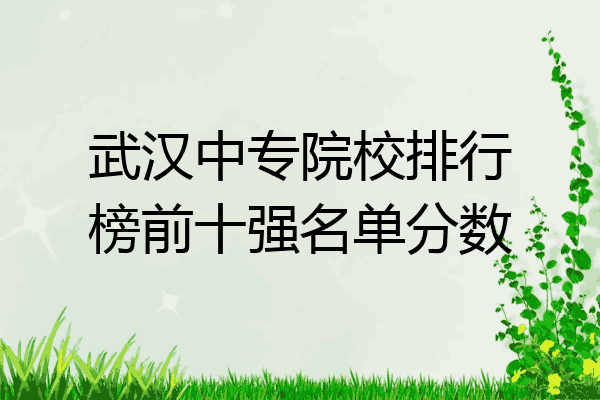 武汉中专院校排行榜前十强名单分数