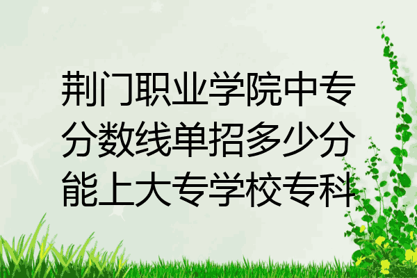 荆门职业学院中专分数线单招多少分能上大专学校专科