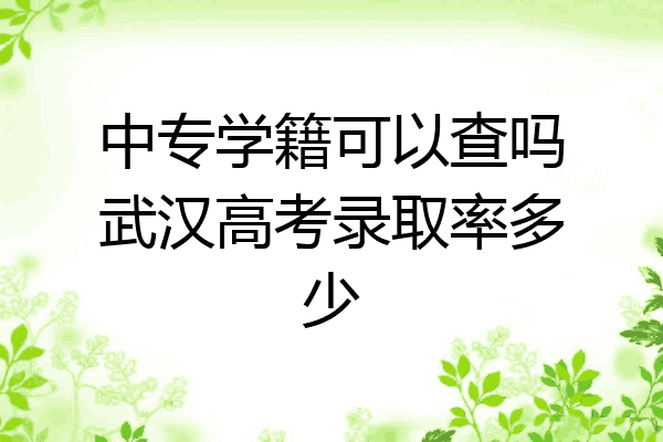 中专学籍可以查吗武汉高考录取率多少