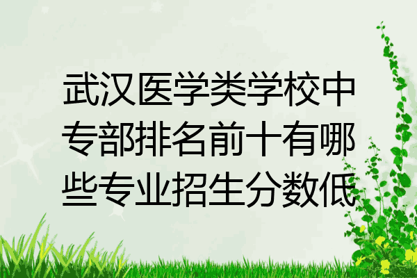 武汉医学类学校中专部排名前十有哪些专业招生分数低