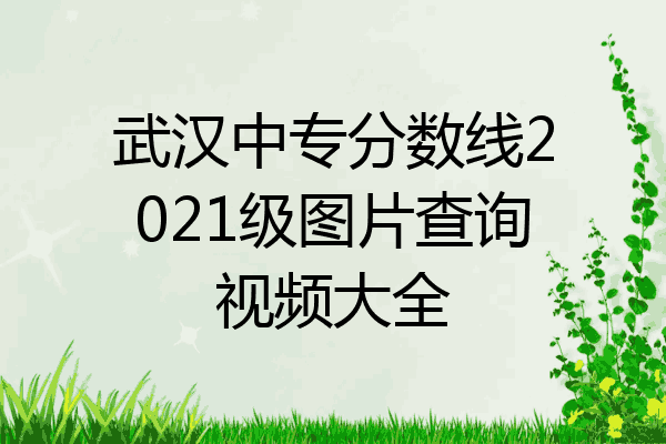 武汉中专分数线2021级图片查询视频大全