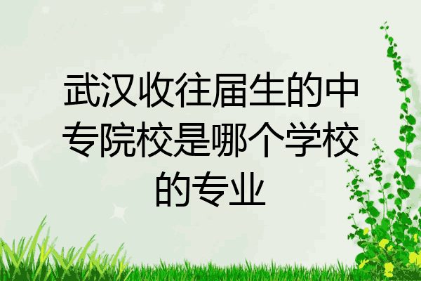 武汉收往届生的中专院校是哪个学校的专业