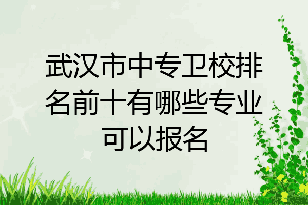 武汉市中专卫校排名前十有哪些专业可以报名