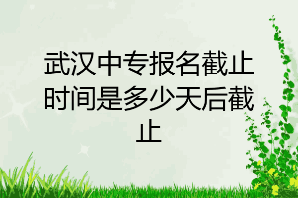 武汉中专报名截止时间是多少天后截止